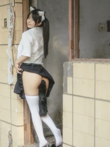 新女婿时代